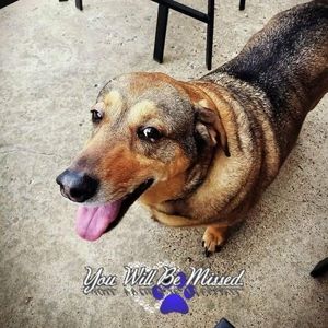 Meet your Posher, Jessie